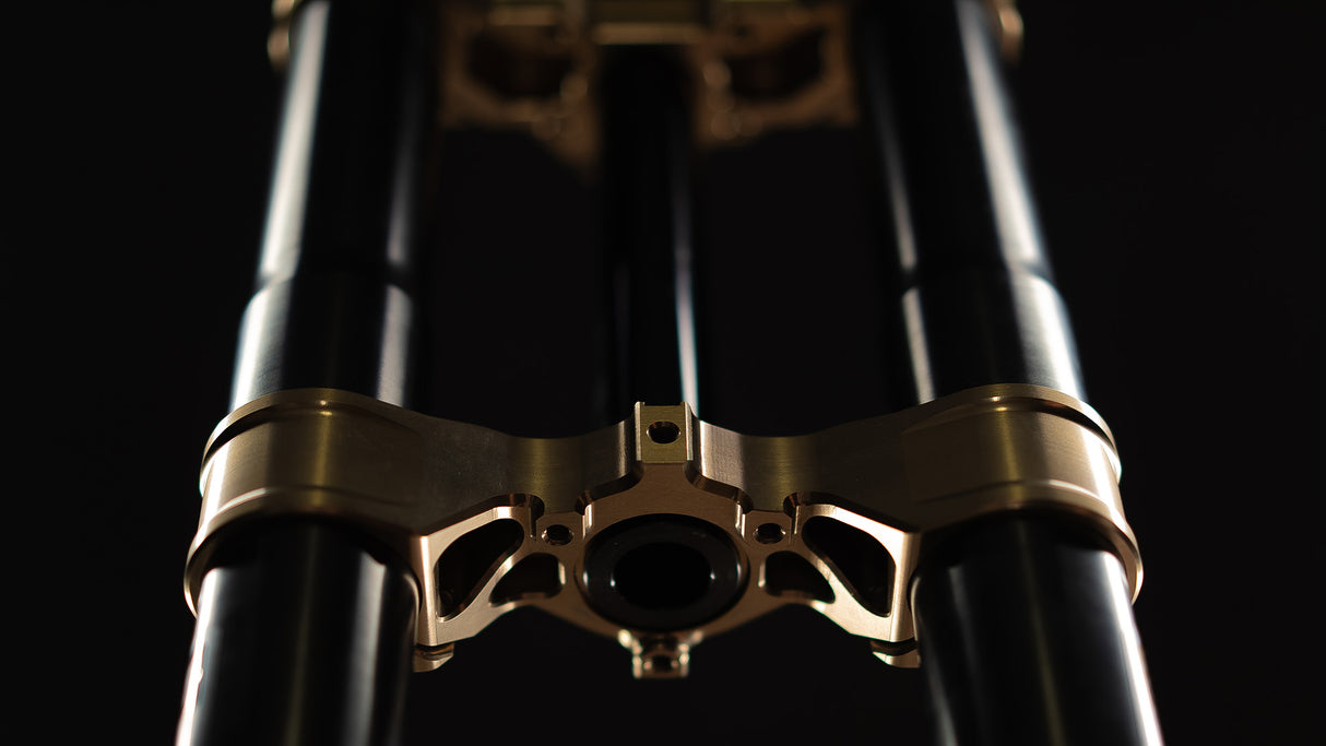 EXT E-MX Dual Crown Fork