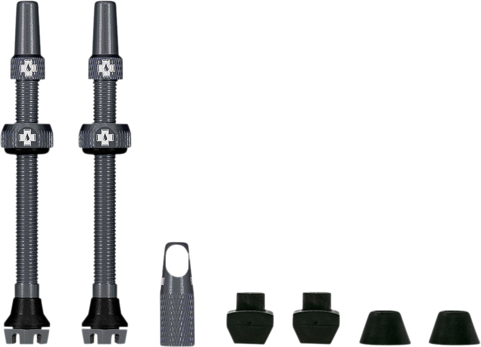 Tubeless Valve Stems - Gray