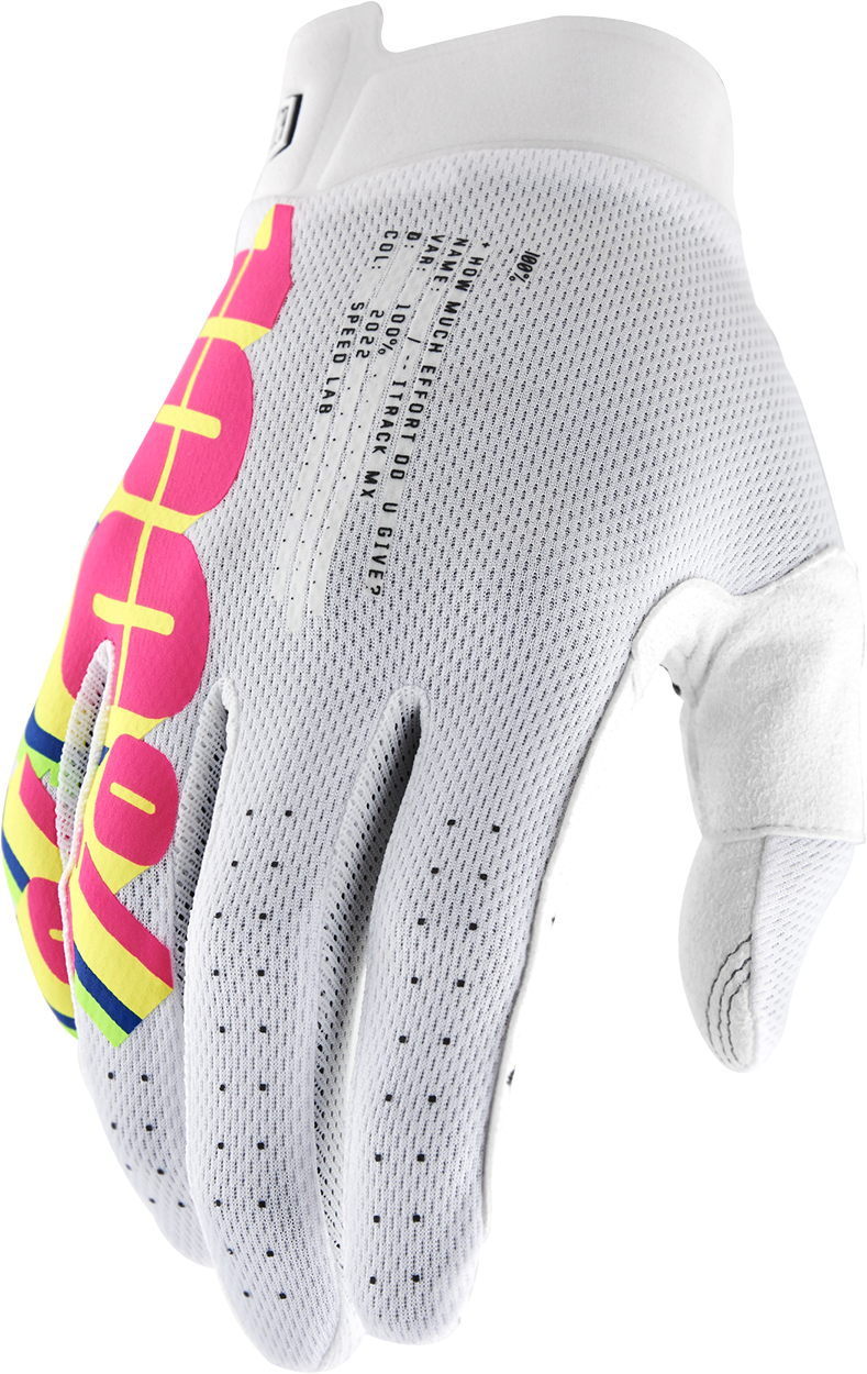 iTrack Gloves - System White - Large