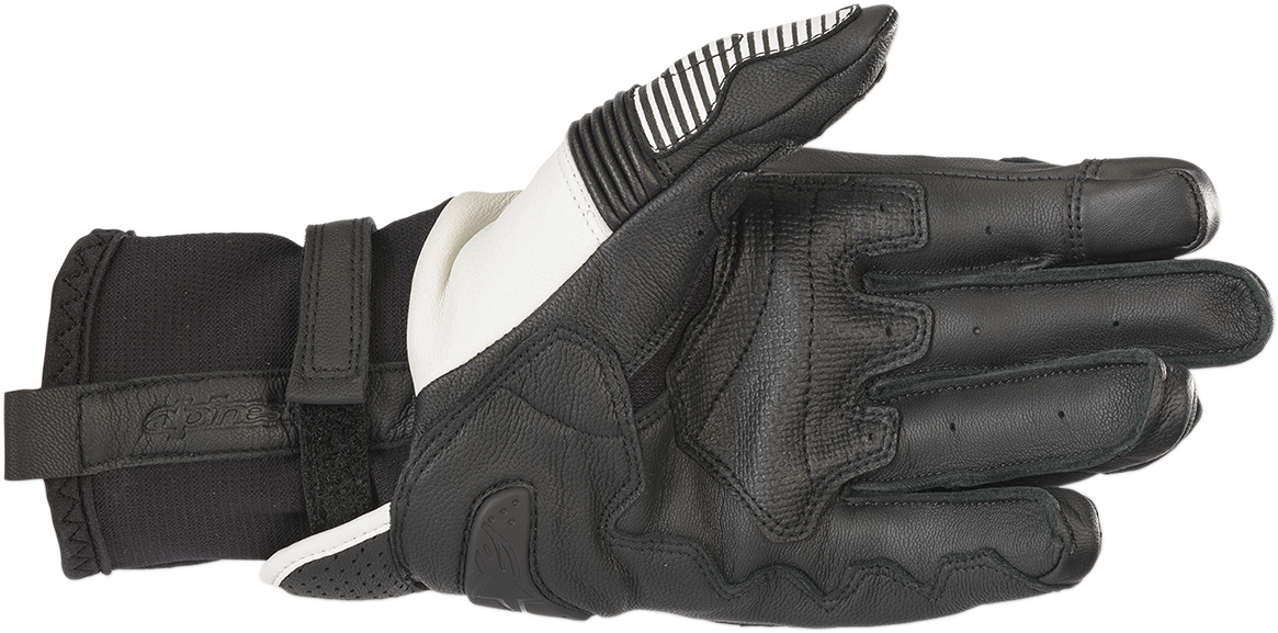 ALPINESTARS GPX V2  Gloves - Black/White - Large 3567219-12-L