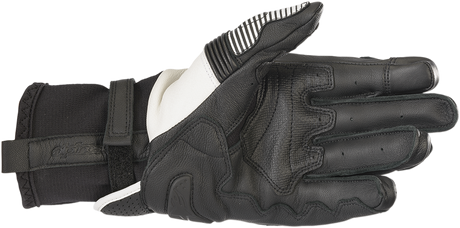 ALPINESTARS GPX V2  Gloves - Black/White - Small 3567219-12-S