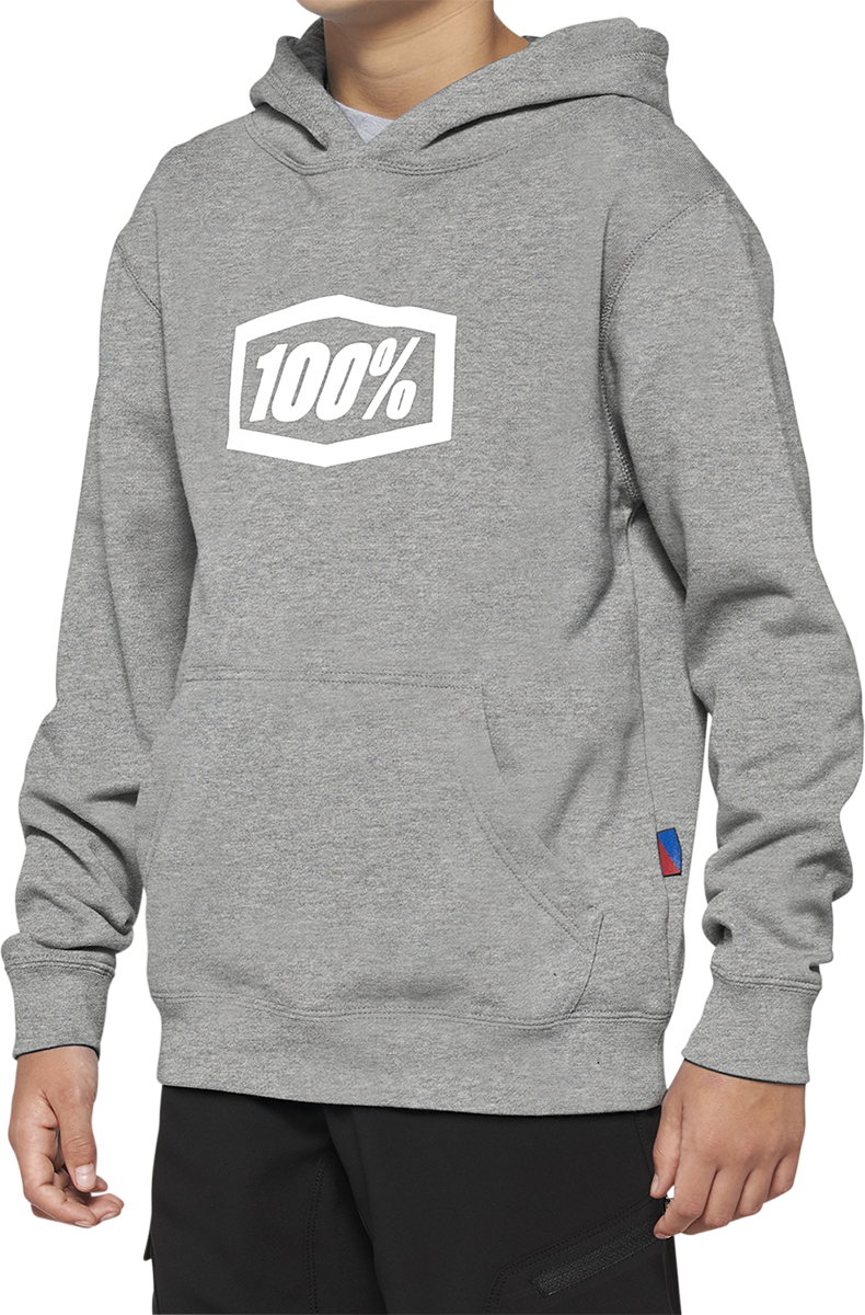 Youth Icon Hoodie - Gray - Small