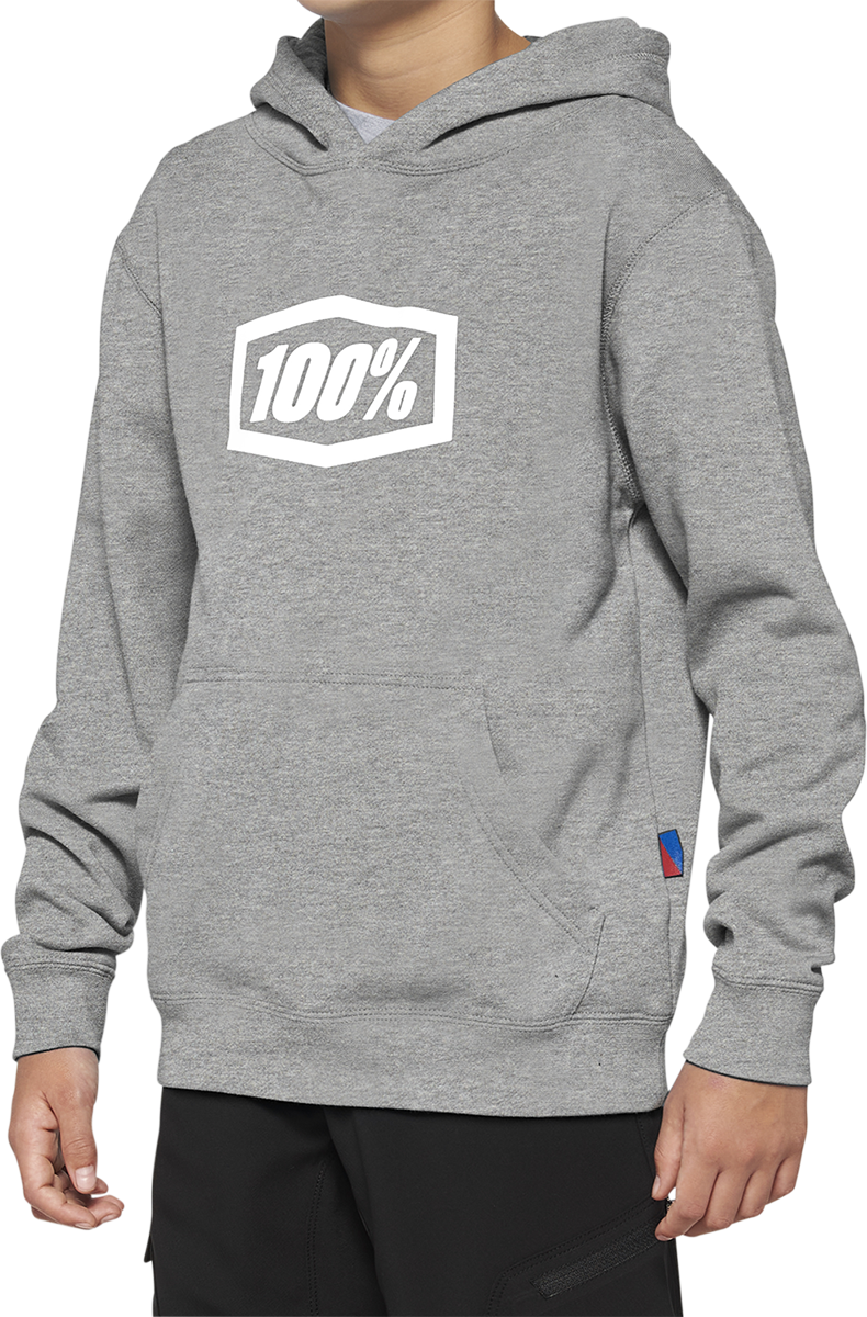 Youth Icon Hoodie - Gray - XL